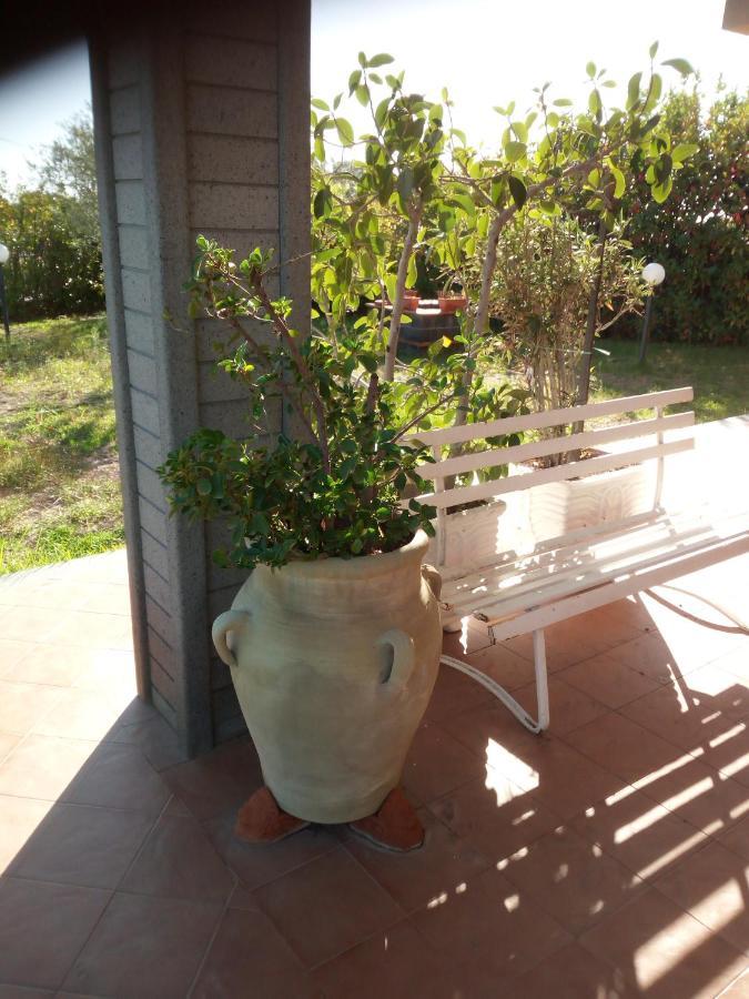 Villa Antonietta Pedara Zewnętrze zdjęcie